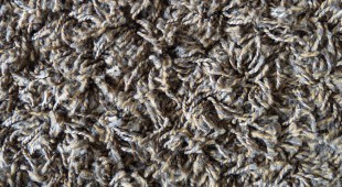 wool carpet maintenance