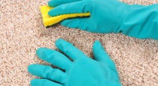 carpet cleaning