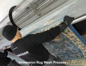 Immersion Rug Wash Process